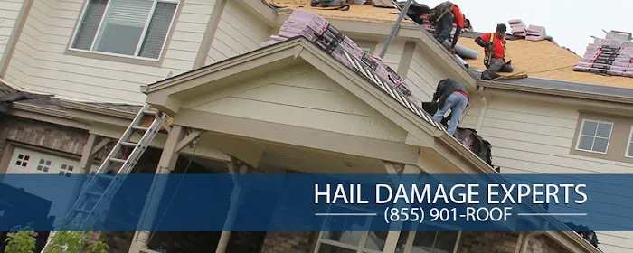 ASAP Roofing Picture 1