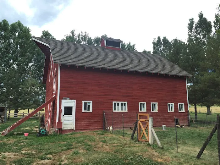 High Impact Roofing & Exteriors Picture 2