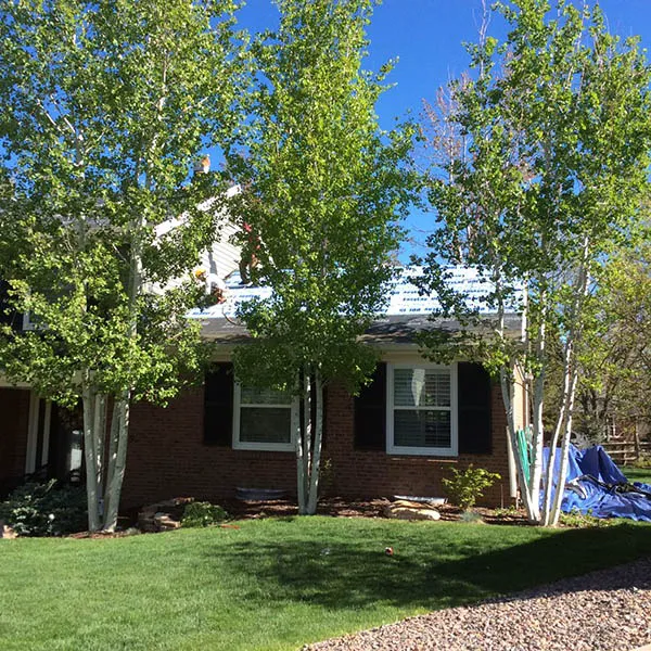 Smart Roofing And Construction, LLC Picture 5