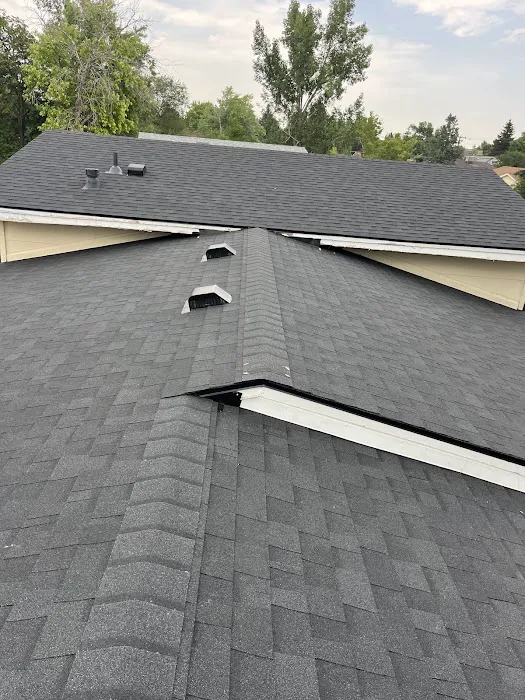 Green Slate Roofing & Siding Picture 1