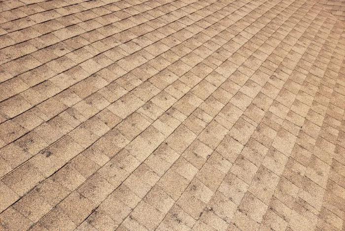 Colorado Roofing Contractors, LLC Picture 7