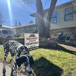 Pachner Exteriors, LLC