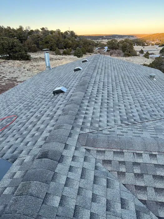 Roofing Plus Picture 6