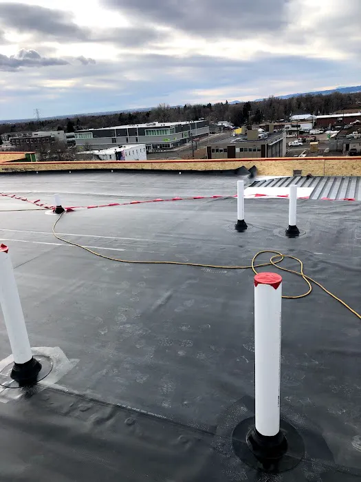 Rhino Roofing LLC Picture 3