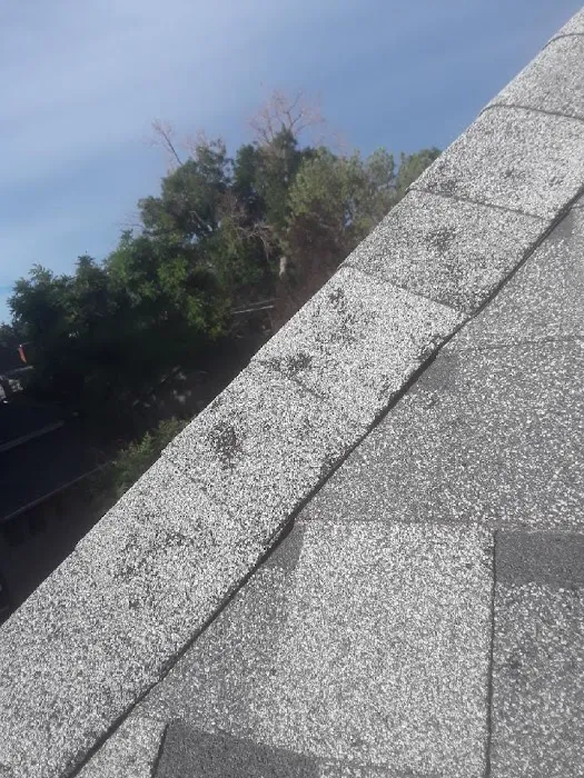 Best Roofers Co Picture 2