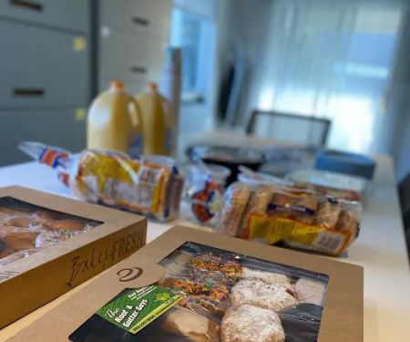 The Roof and Gutter Guys