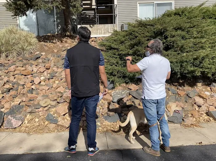 The Roof and Gutter Guys Picture 10