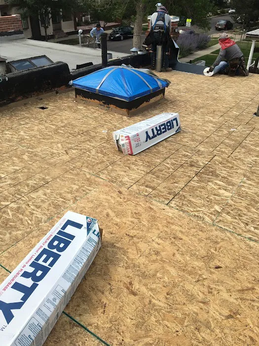 Prime Exteriors Picture 7