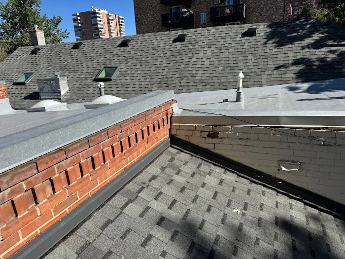 Forest Roofs Picture 4