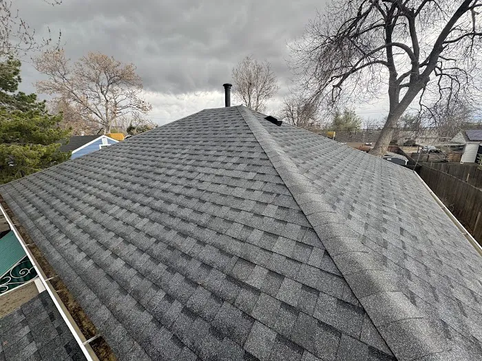 Forest Roofs Picture 2