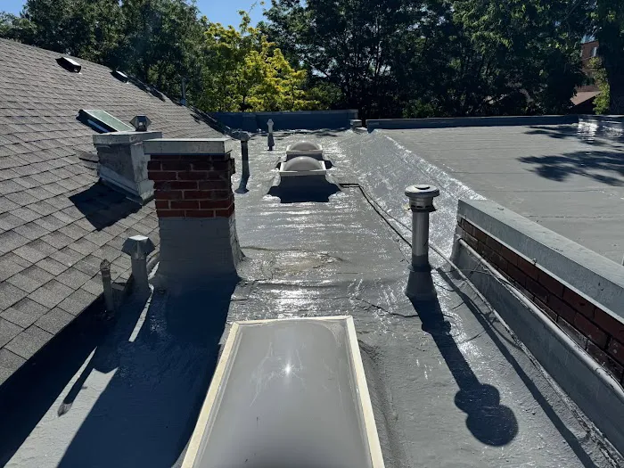 Forest Roofs Picture 3