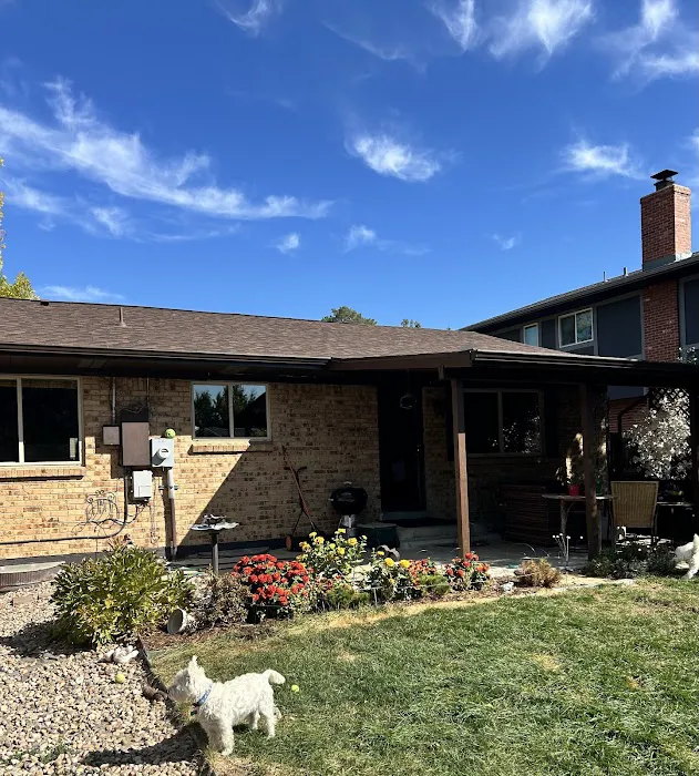 Forest Roofs Picture 1