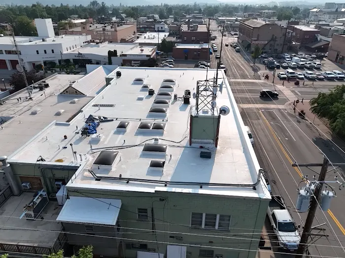 Forest Roofs Picture 10