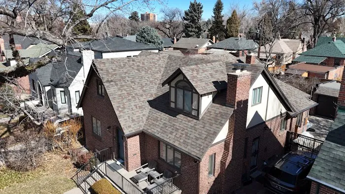 Forest Roofs Picture 6