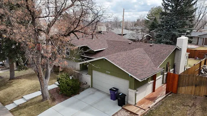 Forest Roofs Picture 9