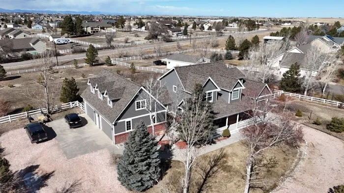 Forest Roofs Picture 7