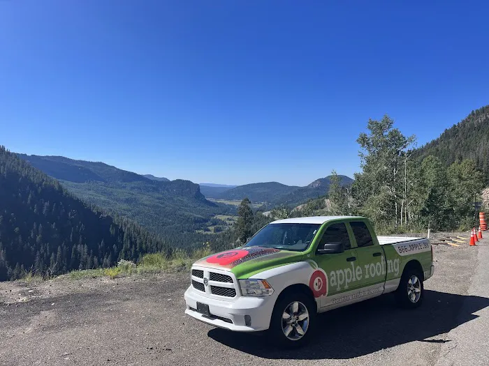 Apple Roofing Picture 2