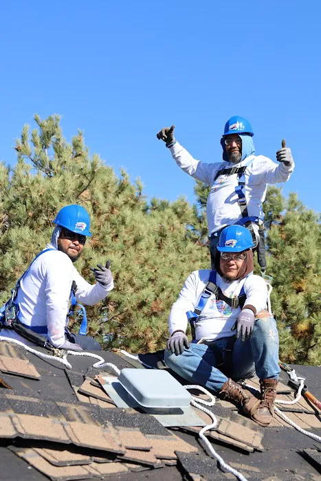 Excel Roofing Picture 3