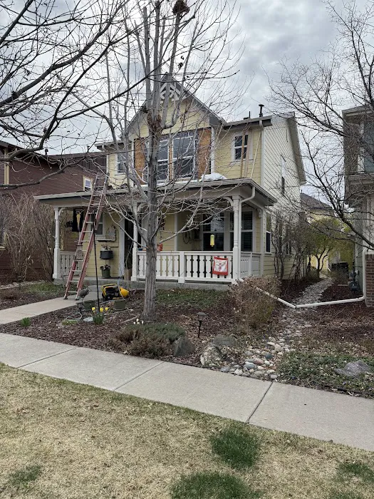 Excel Roofing Picture 1