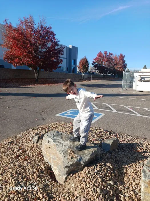 Bear Brothers Roofing Picture 6