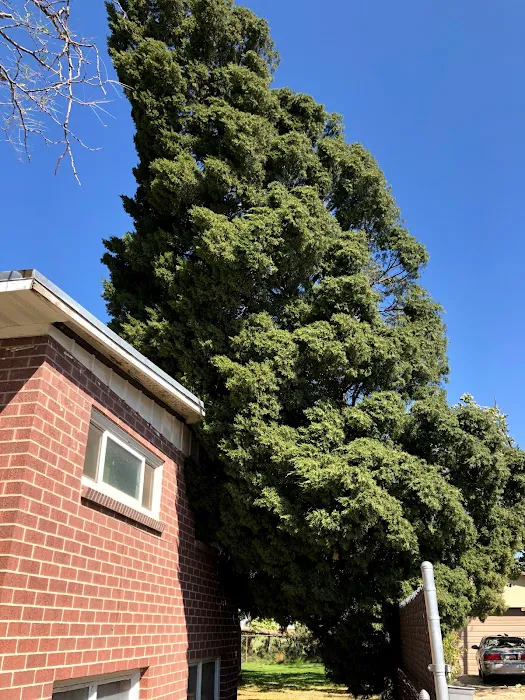 Storm Contracting Solutions - Roofing Contractor Picture 6