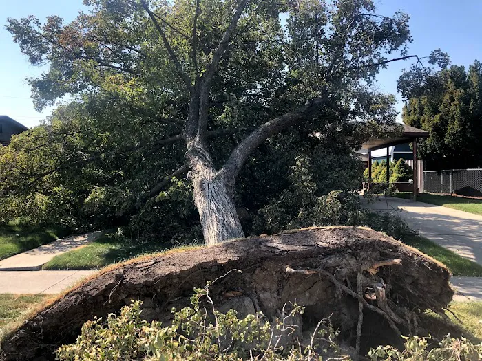 Storm Contracting Solutions - Roofing Contractor Picture 5