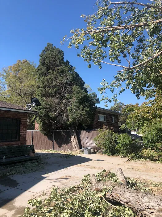 Storm Contracting Solutions - Roofing Contractor Picture 1