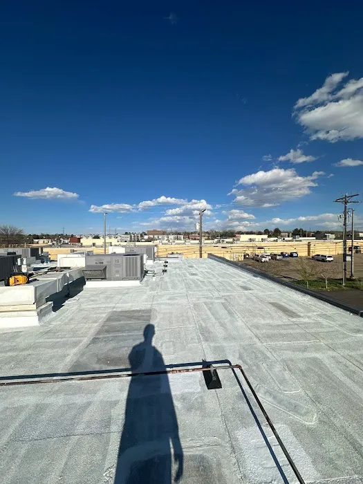 Rize Exterior Services Picture 5