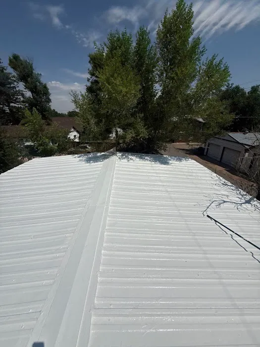 Rize Exterior Services Picture 6