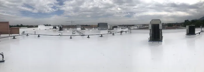 Rize Exterior Services Picture 1