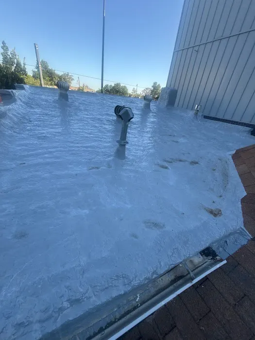 Rize Exterior Services Picture 3