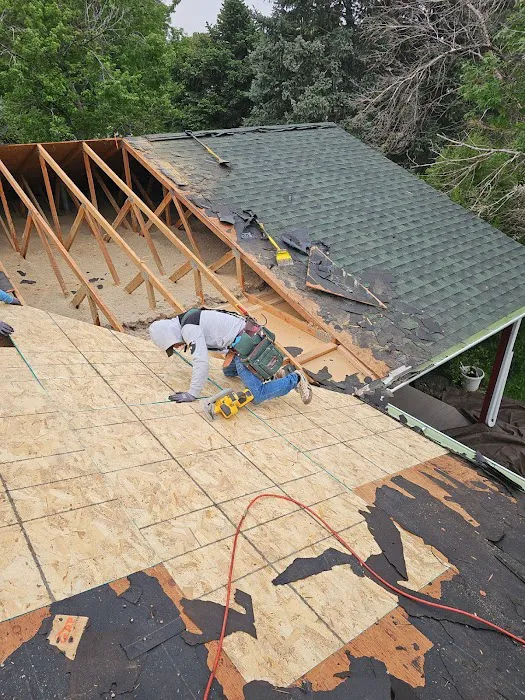 Rize Exterior Services Picture 10