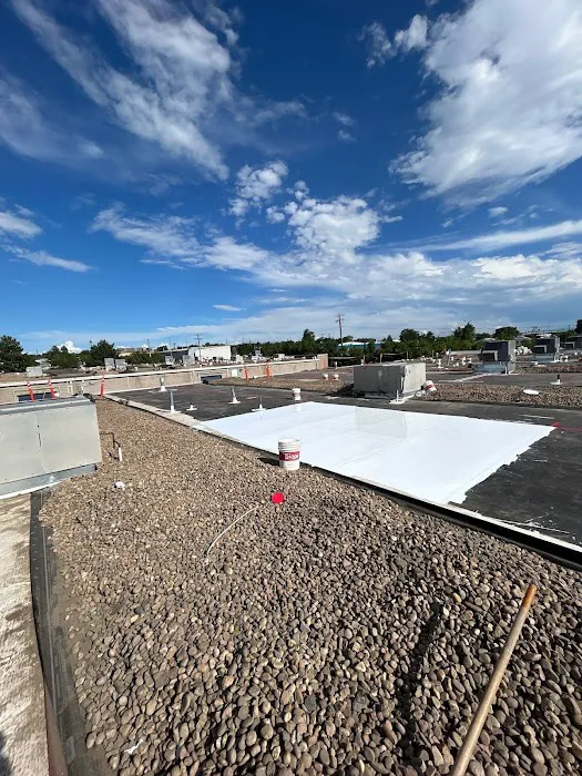 Rize Exterior Services Picture 8