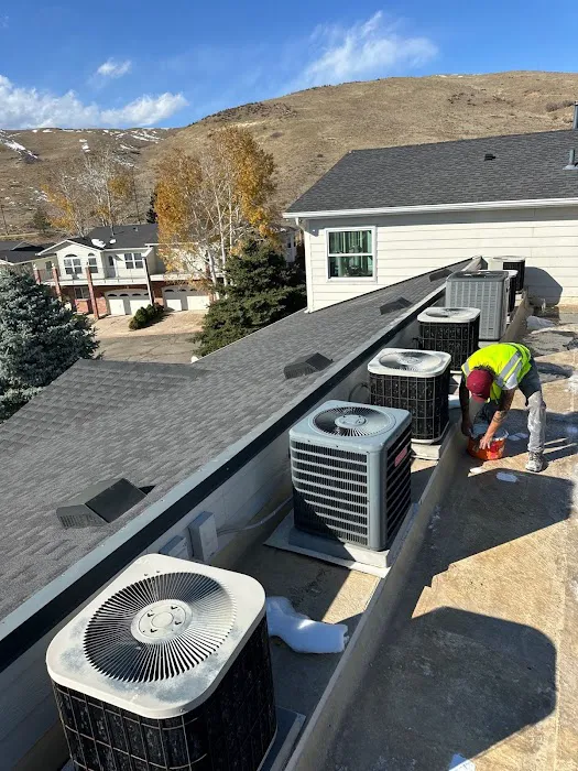 Rize Exterior Services Picture 9