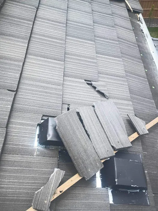 Campbell Beard Roofing Inc Picture 3