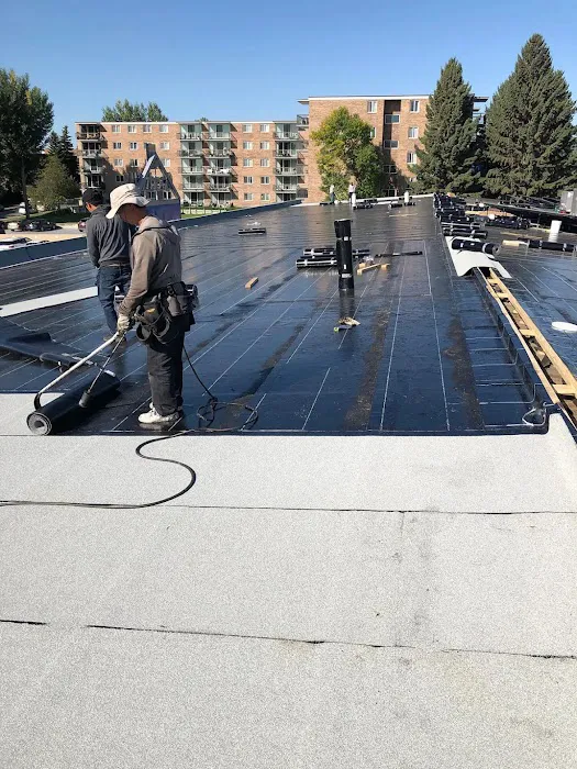 Trusted Roofing Exteriors Picture 2