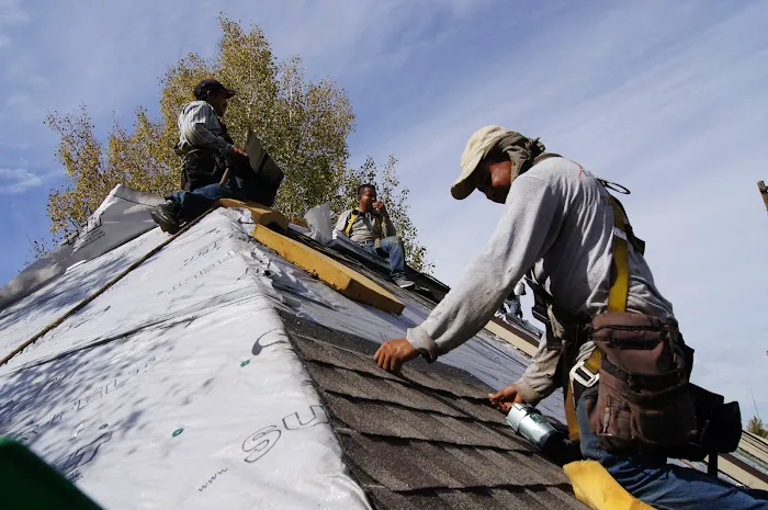 Citywide Roofing & Exteriors Picture 10