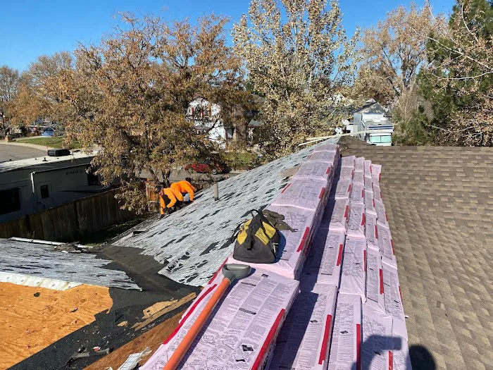 Big Dog Construction Group Picture 9