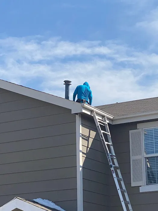 Big Dog Construction Group Picture 1