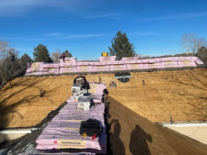 Big Dog Construction Group Picture 8