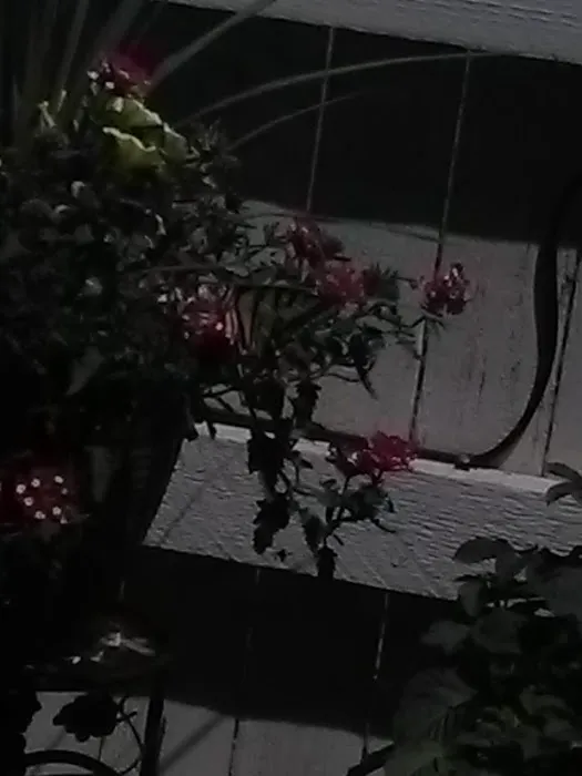 Colorado Roofs Plus Picture 1