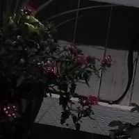 Colorado Roofs Plus ico