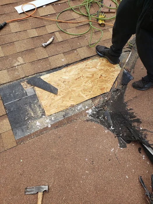 Zen Roofing Picture 1