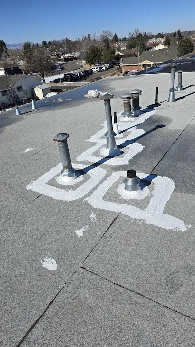 Zayga restoration llc Picture 3