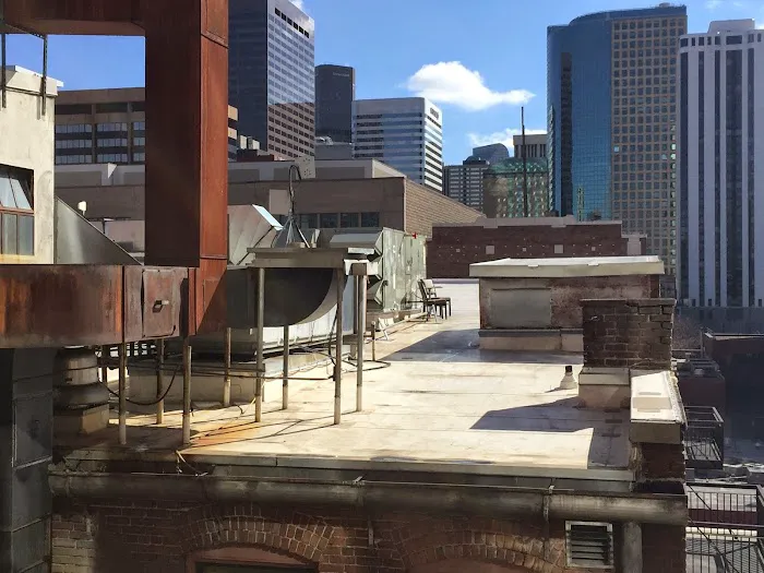 New Line Roofing Picture 10