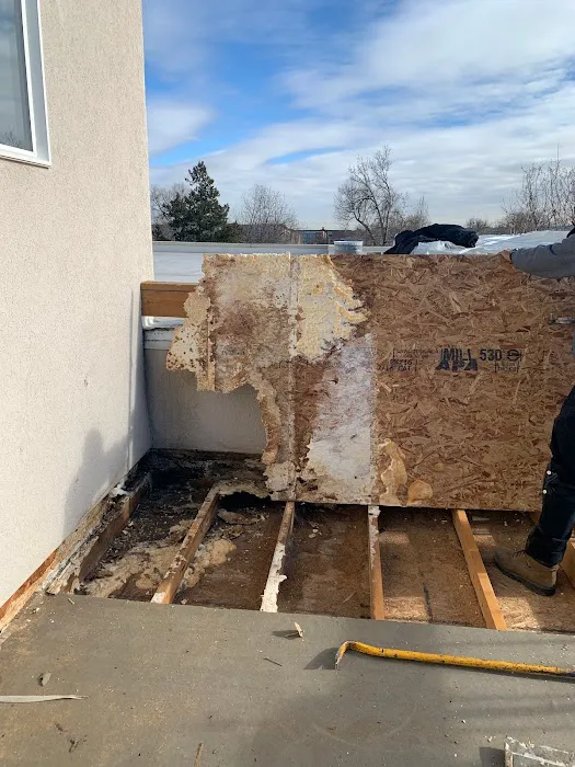 New Line Roofing Picture 6