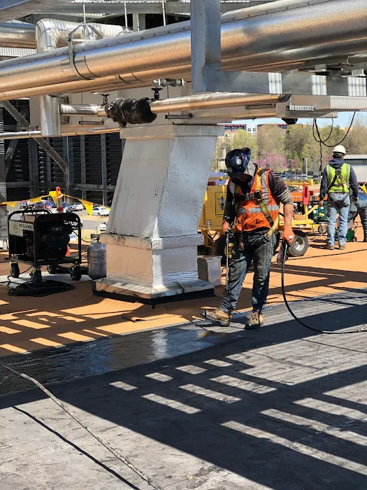 Empire Roofing Picture 9