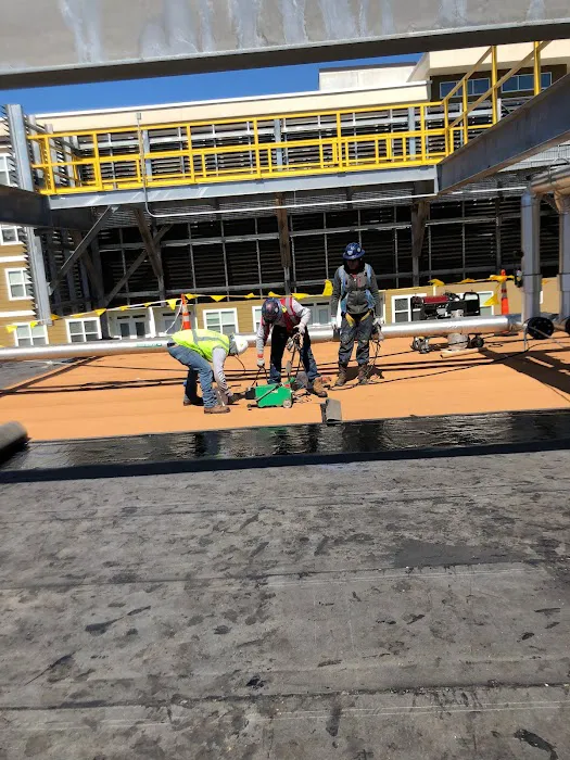 Empire Roofing Picture 6