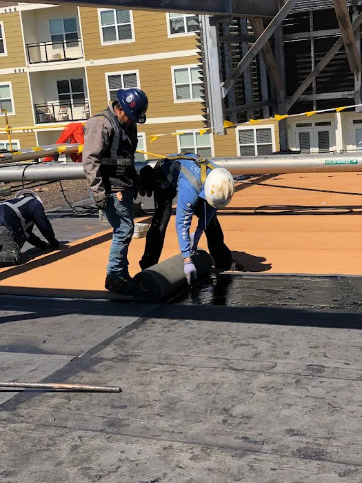 Empire Roofing Picture 10