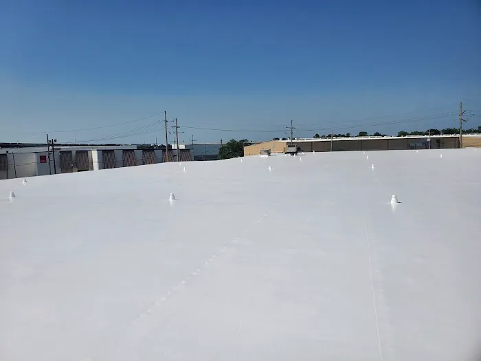Lion Roof Coatings Picture 2